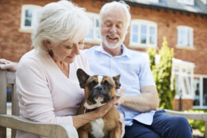 Quelles races de chiens adaptées pour les seniors ?